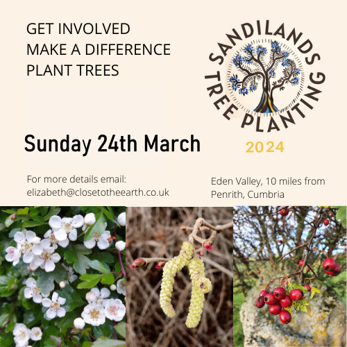 Sandilands tree planting 24 March 2024