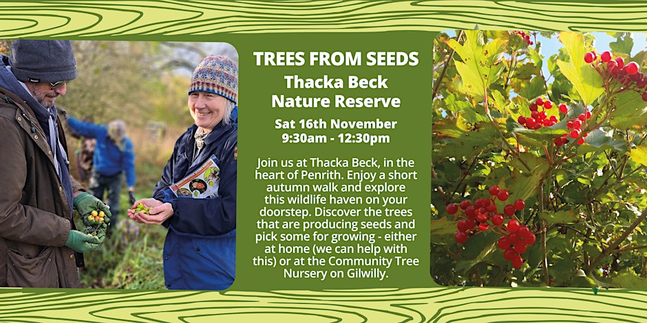 Trees from Seeds - Thacka Beck