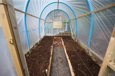 Peter Clarke's polytunnel at Glassonby