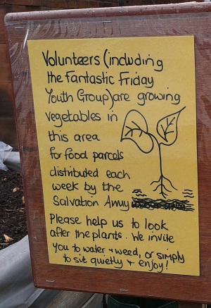 Please help at the raised beds in Penrith