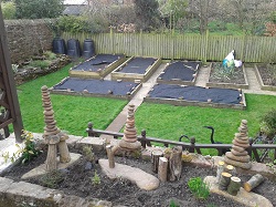 Carol's raised beds warming up at the start of spring