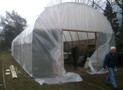 Covering the Appleby Polytunnel