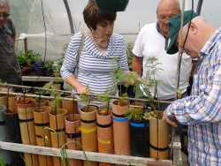 An Eden resident shows others how to grow veg in pipes